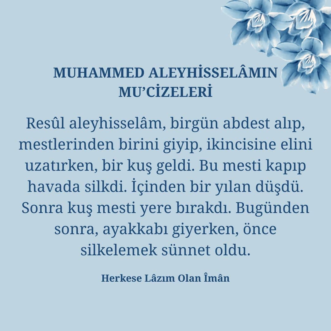 Mucizeleri (33)
